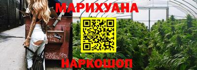 гашик Будённовск