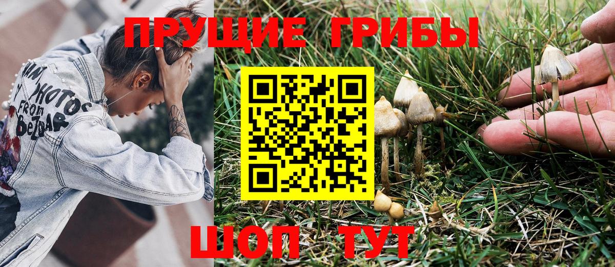 Курск  Галлюциногенные грибы Psilocybine cubensis  Галлюциногенные грибы MAGIC MUSHROOMS  Вход с VPN 
