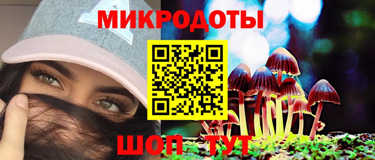 Псилоцибиновые грибы GOLDEN TEACHER Курск